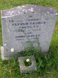 image of grave number 541393
